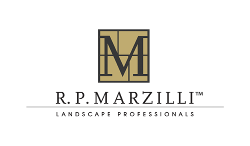 Marzilli logo